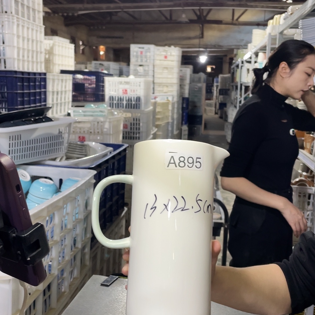 瓷片895         1个