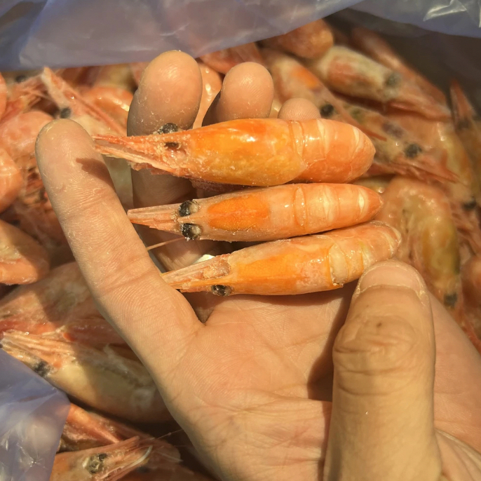 精品北极虾头籽大连发货90-120规格