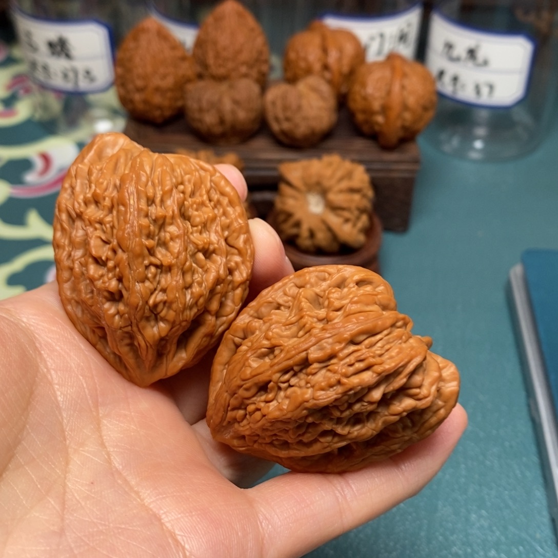 S***韩核桃40尺天使之翼虎头王
