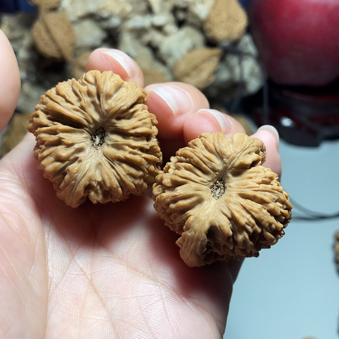 核桃手串/手链精品凹底南疆