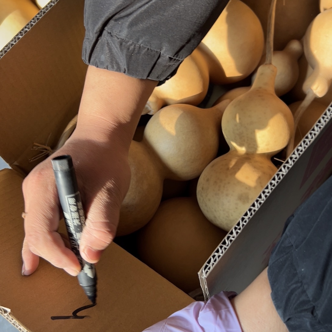 任***民有机玻璃葫芦葫芦