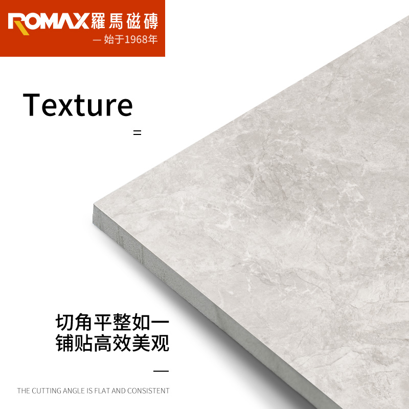 罗马磁砖 大理石瓷砖800x800客厅背景墙瓷砖地板砖RT80522S