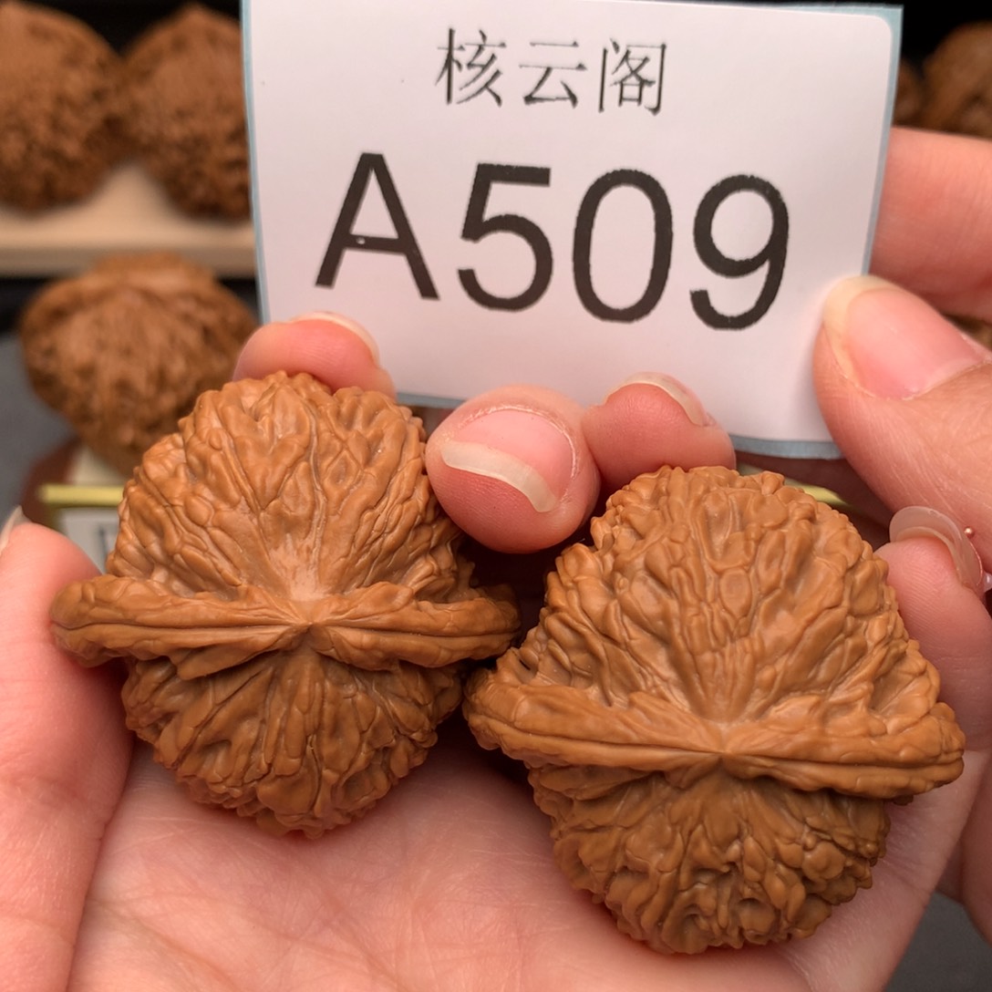 文玩核桃把件41.5白狮子