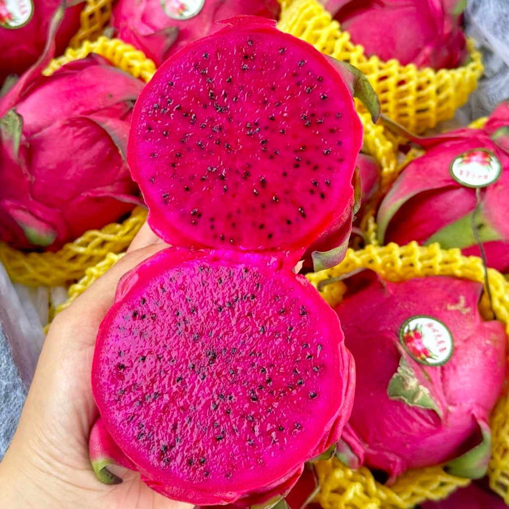【火龙果】红心火龙果一个