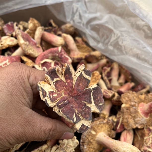 河南花菇干货精选营养健康食用菌煲汤炒菜佳品