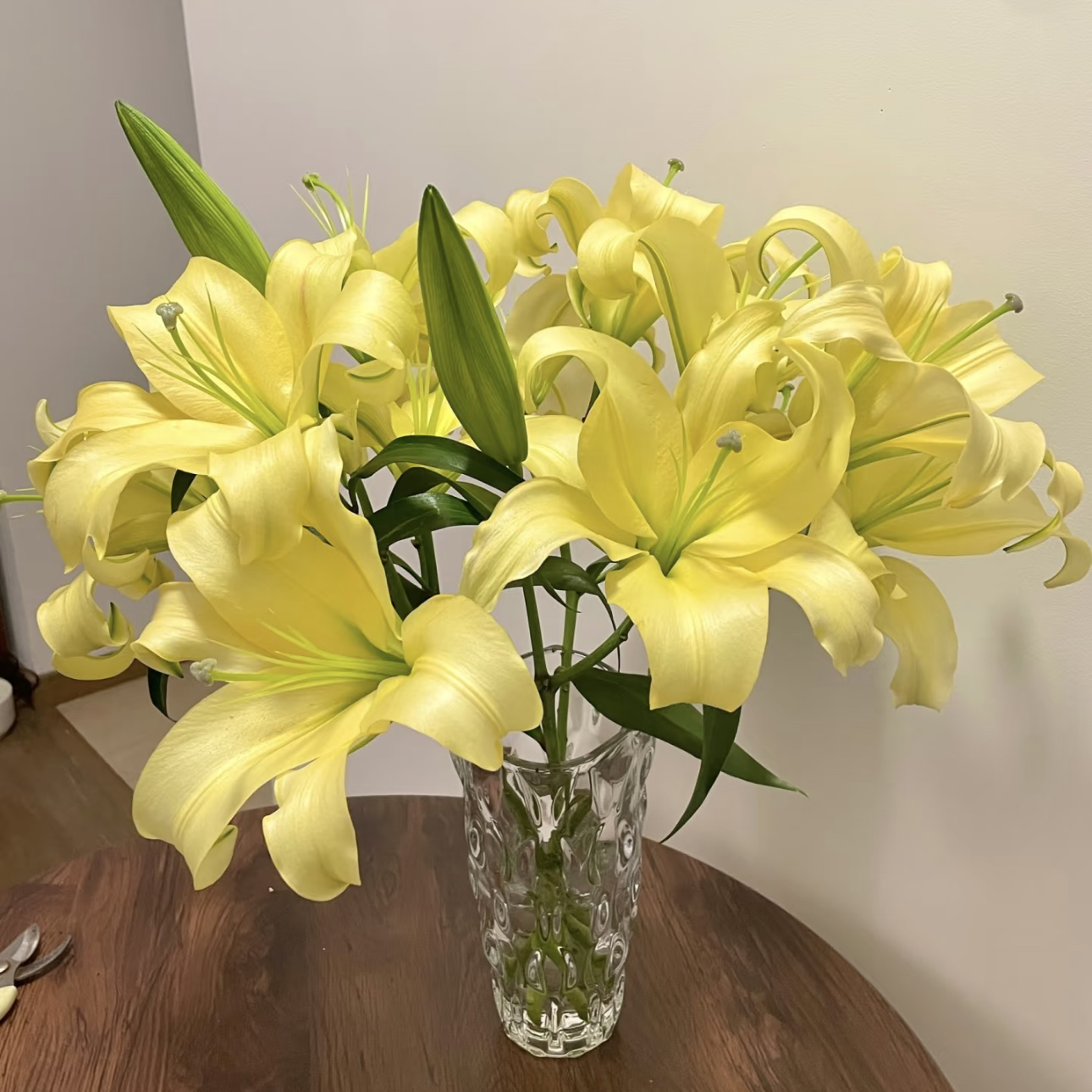 【杨鹏鲜花】皇帝 香水百合 云南鲜花包邮