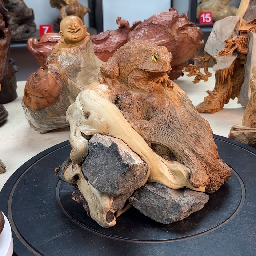 赏***景交趾黄檀（大红酸枝）