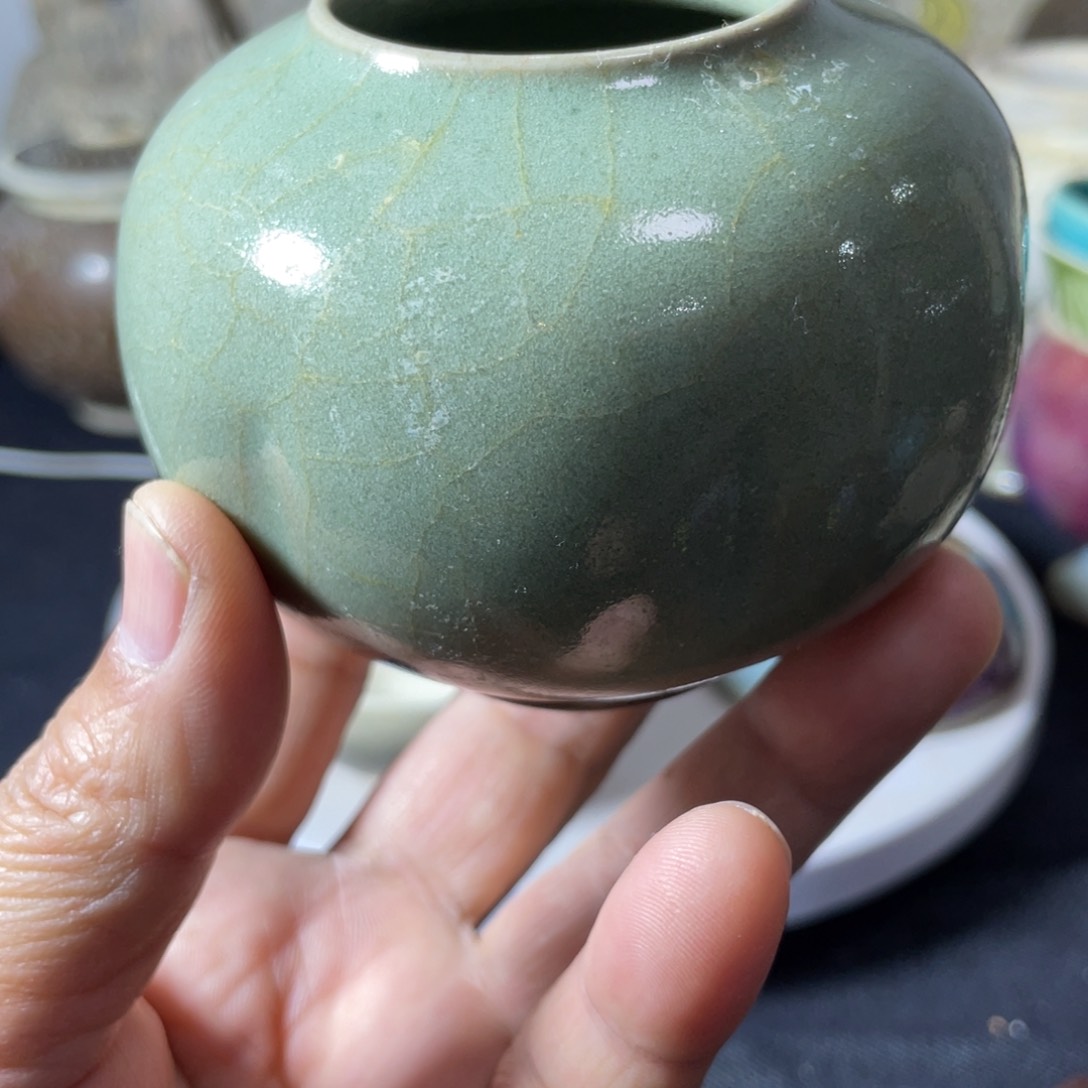 无嘉**宝东沟窑水鱼美了漂亮