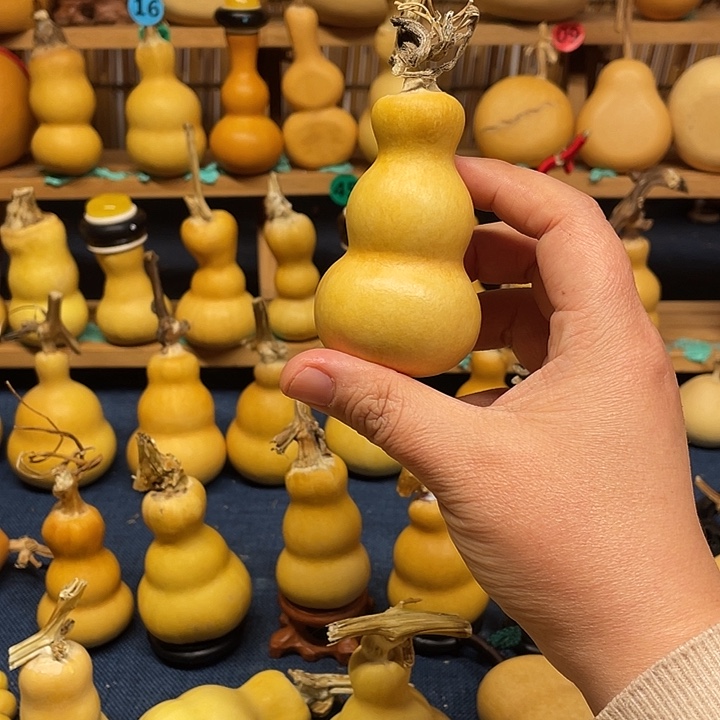 c***a1111111111111111111111