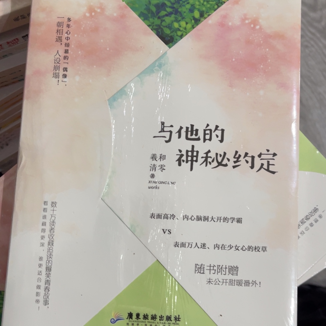 与他的神秘约定简装