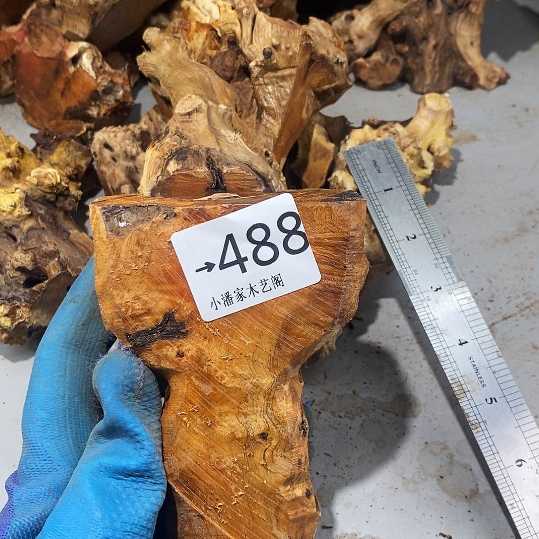 香榧木知*火琉璃……火琉璃