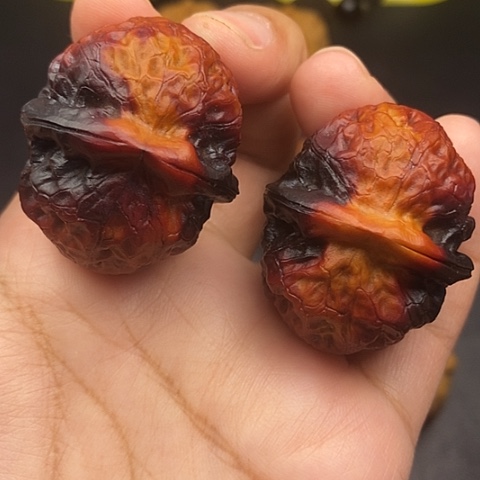 文玩核桃把件40尺云南金龟