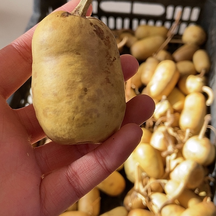 X*.d f g j k l l x s s