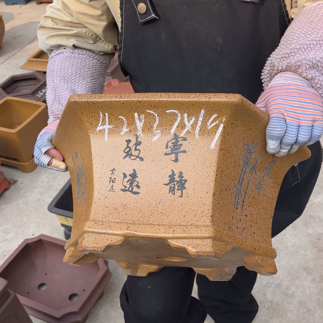紫砂花盆盆景艺术