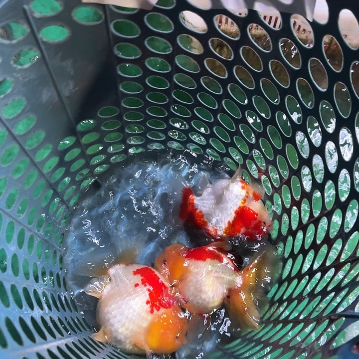 210包邮到家嘿嘿嘿嘿嘿嘿嘿嘿