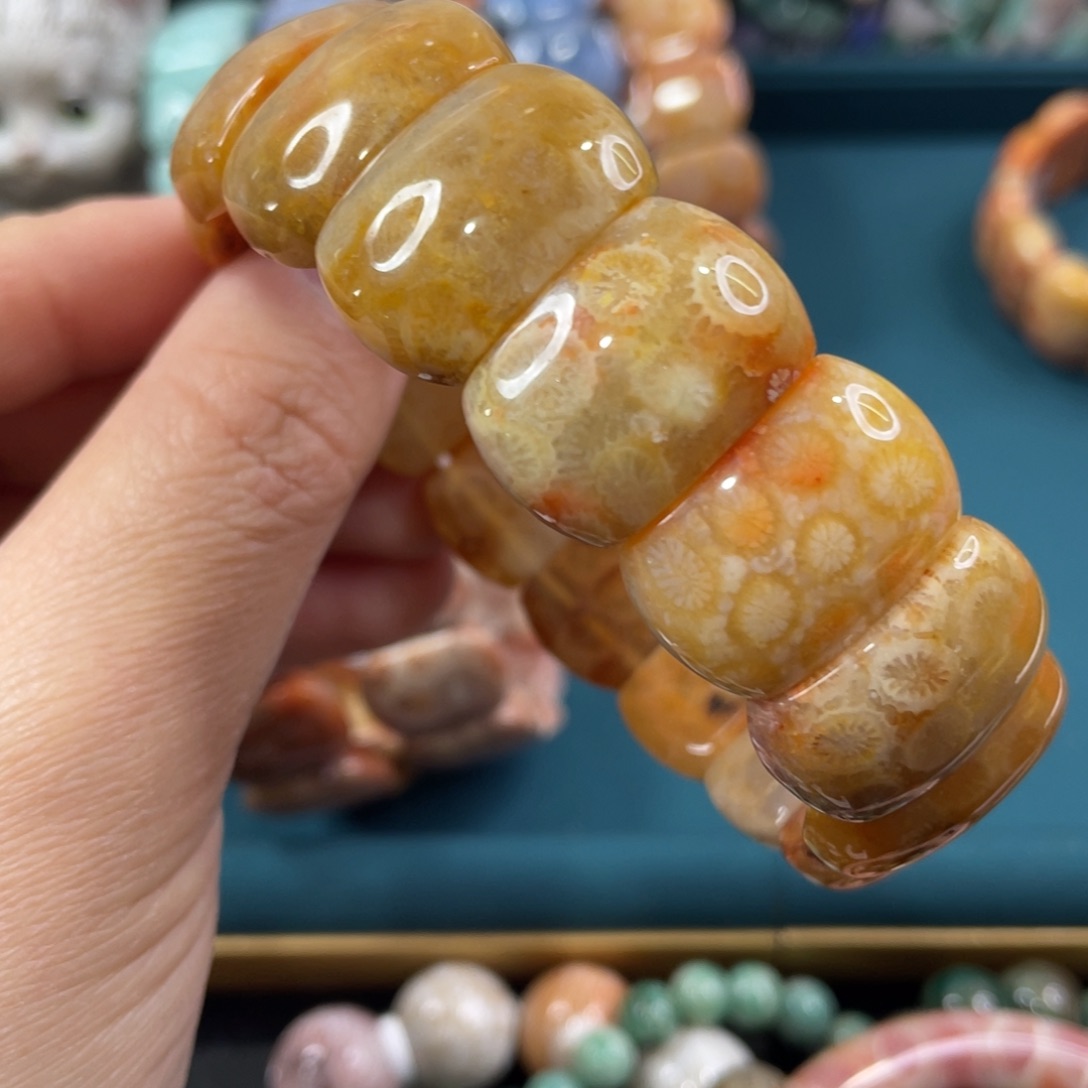 未镶嵌手镯硅化玉