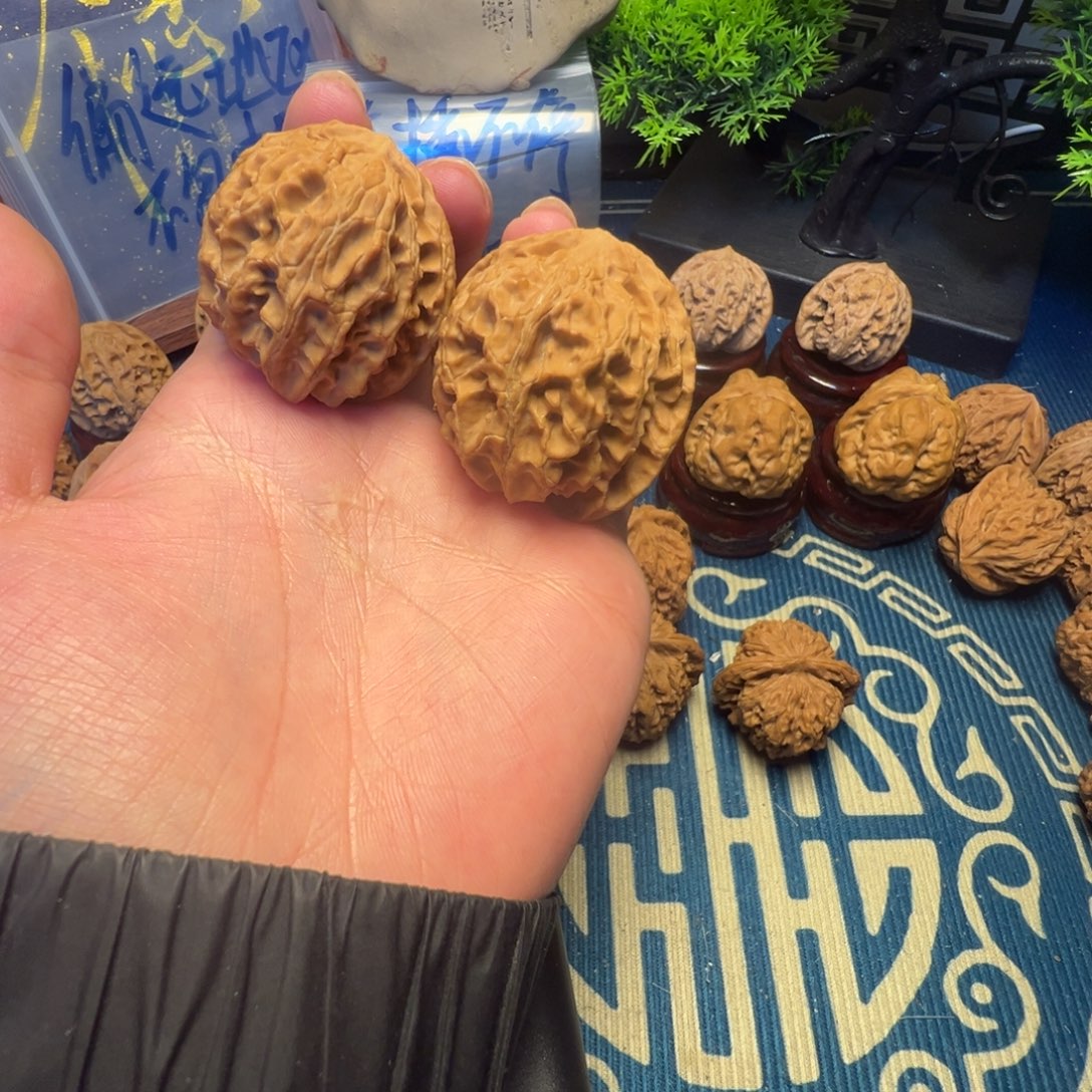 40尺全品无修苹果园