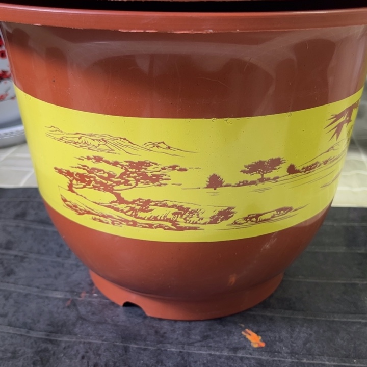 塑料4个带托280红山水（口径25高18）