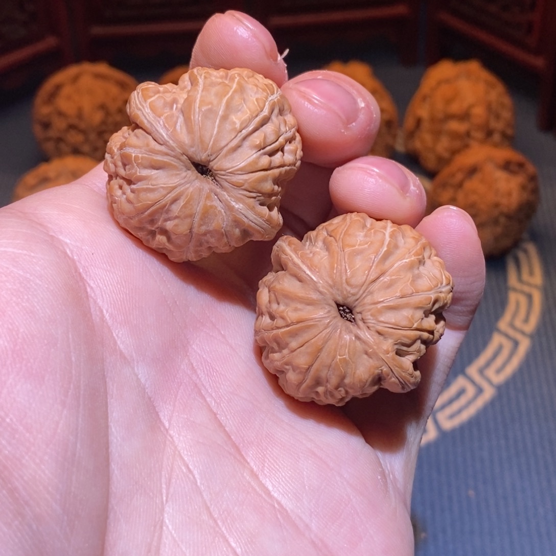 34尺 全品白茬 极品小尺 元宝