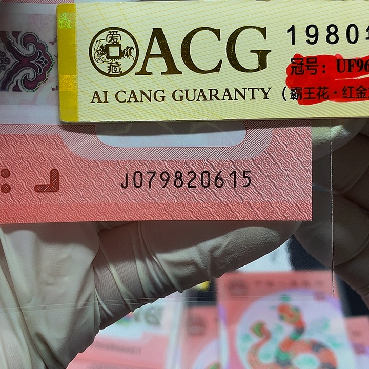 一张一张一张一张一张一张