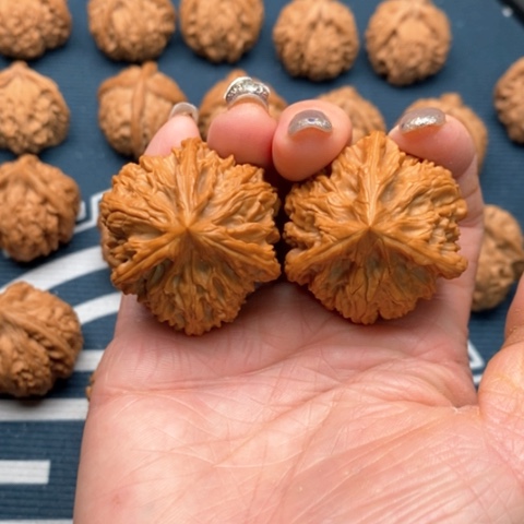 橄榄核手串/手链文山三棱御龙粗筋38