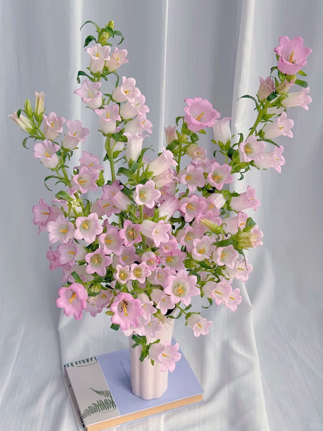 （蔓蔓）随机色风铃1扎（图片仅供参考）20%防损 1单包邮