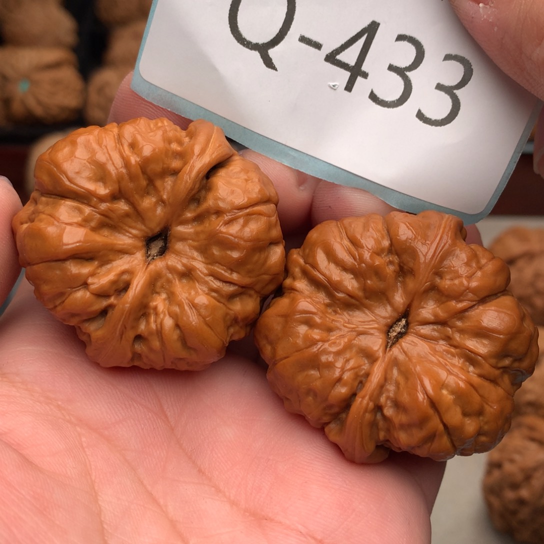 文玩核桃把件41玉蝉蛙………