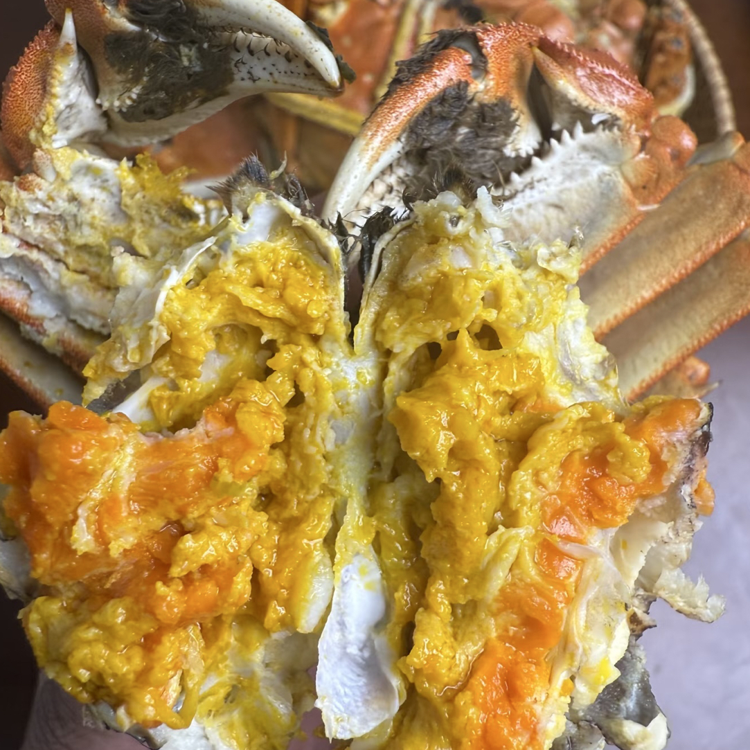 母螃蟹（2.8-3.2）两一只
