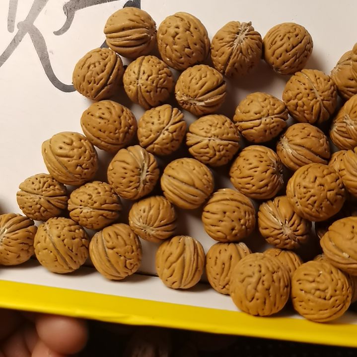 桃核吊坠拿姐桃核6