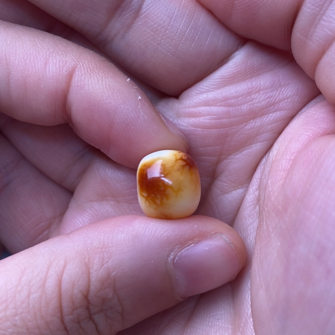 裸石琥珀未镶嵌蜜蜡12