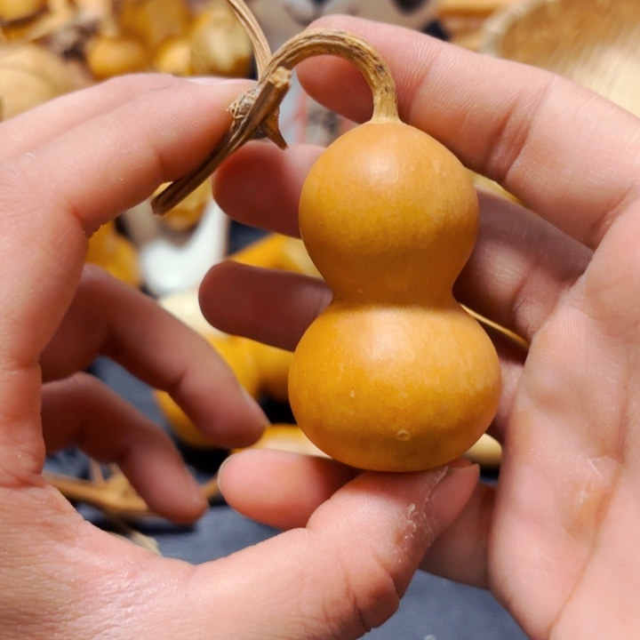 西**➰8888888888888888