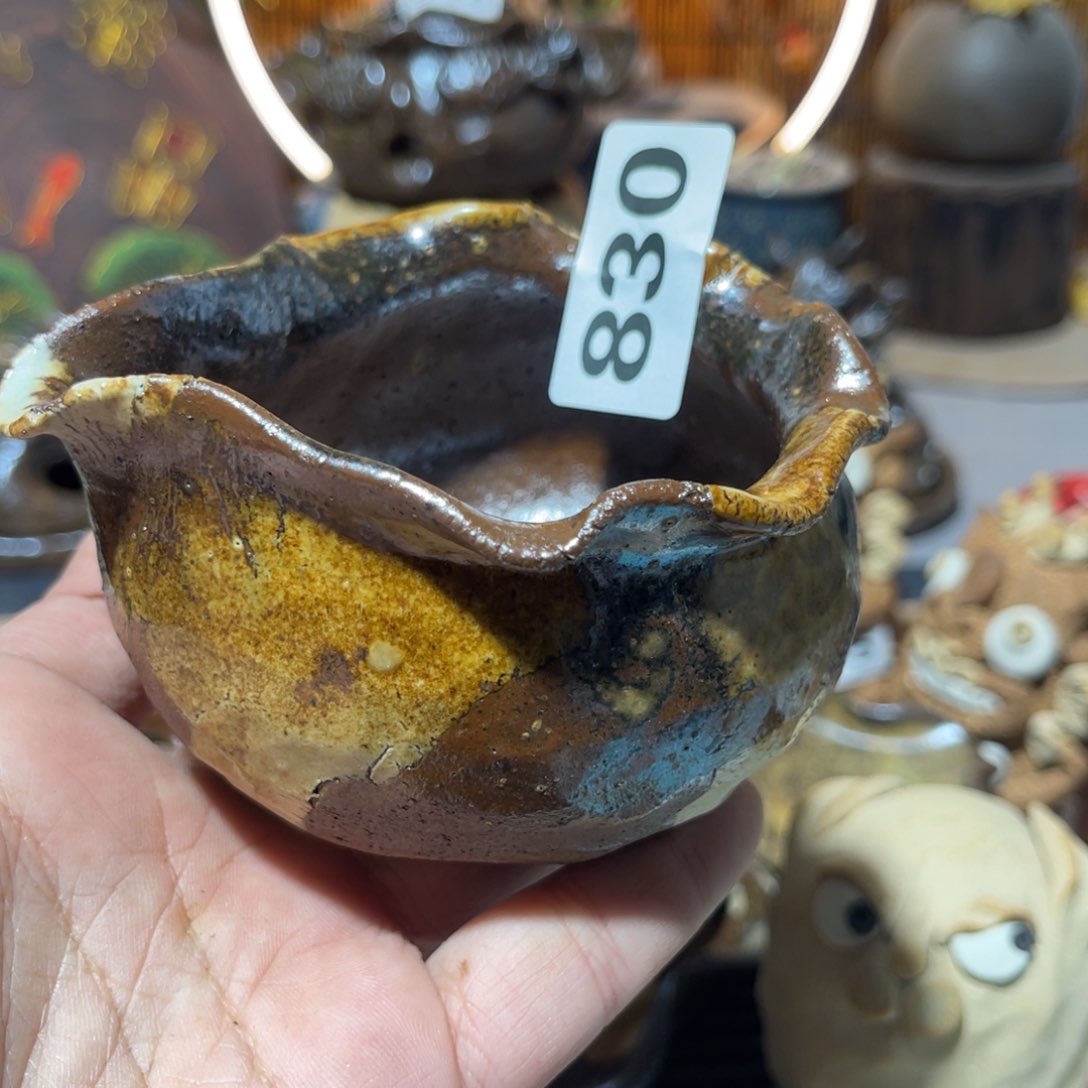 木村信弘柴烧保平