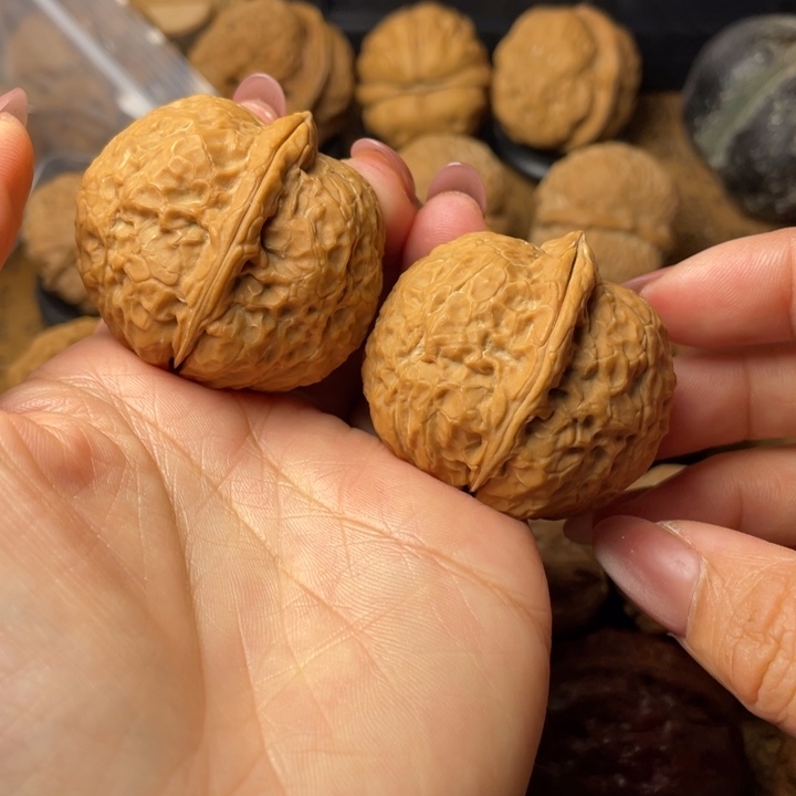 奔***马如图所示一物一拍88