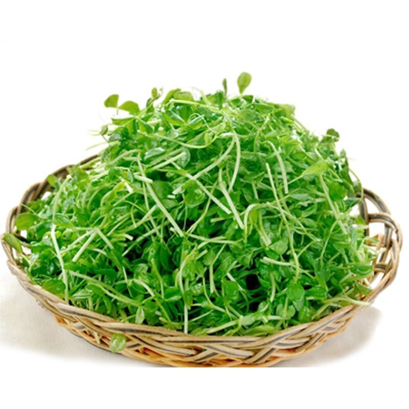 Y豆苗/盒（约350g）