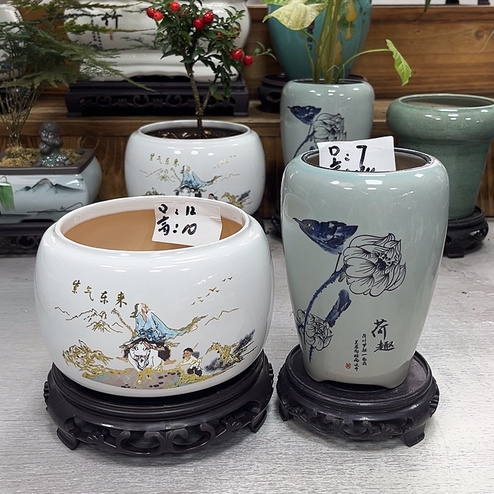 陶瓷花盆抢购福利活动