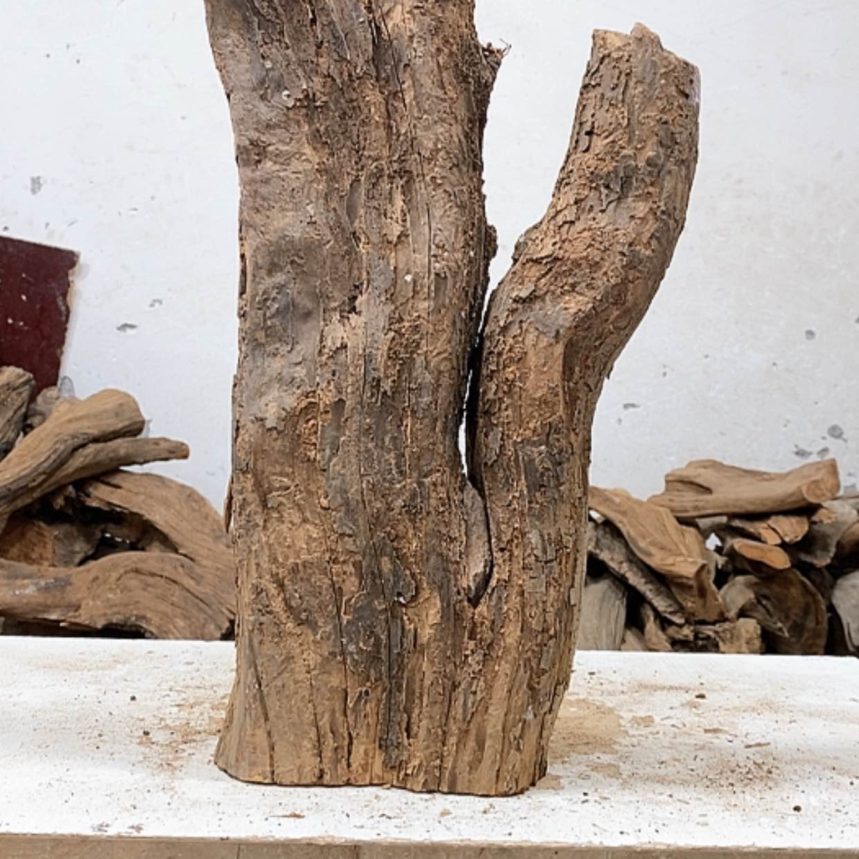 【闪购商品】柏木。****？我们都是好孩子