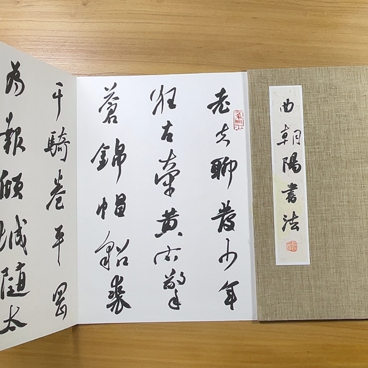 书法中书协会员作品曲朝阳