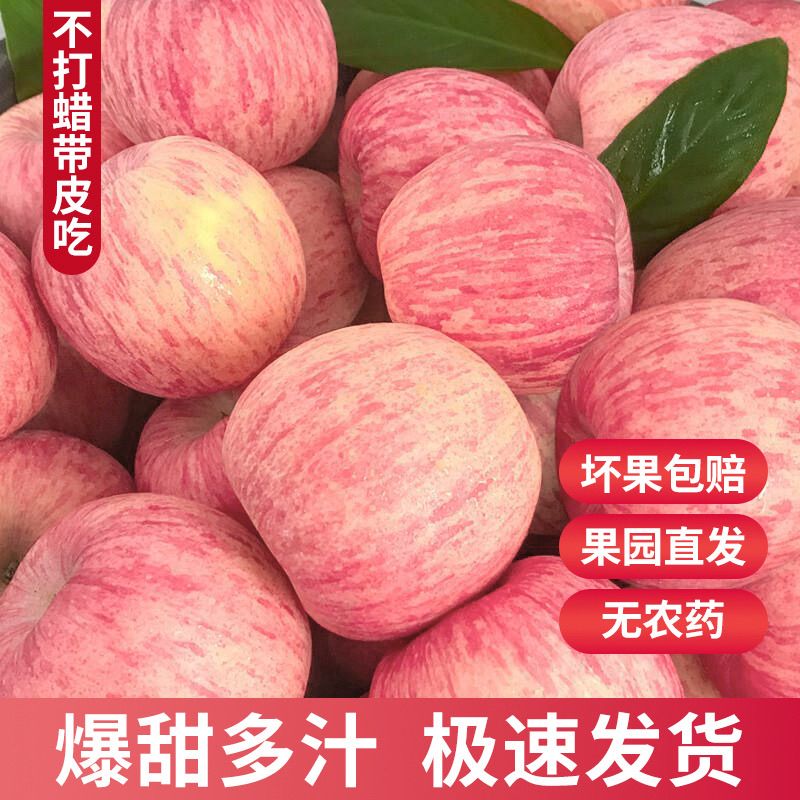 [福利补贴]正宗产地红富士苹果脆甜多汁五斤7-9个随机款式颜色