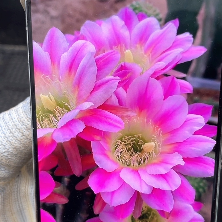 调色板6公分以上满18包邮