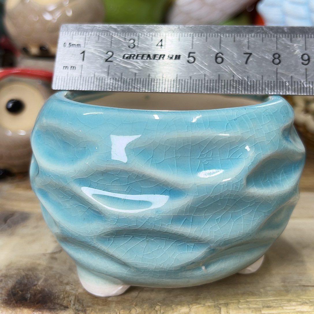 陶瓷花盆特价上新