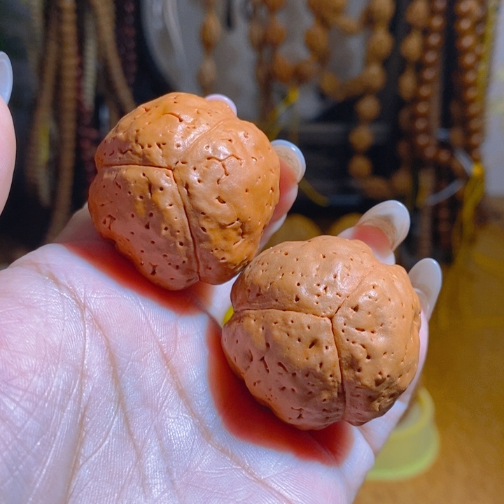 野生三瓣大金刚把件3540