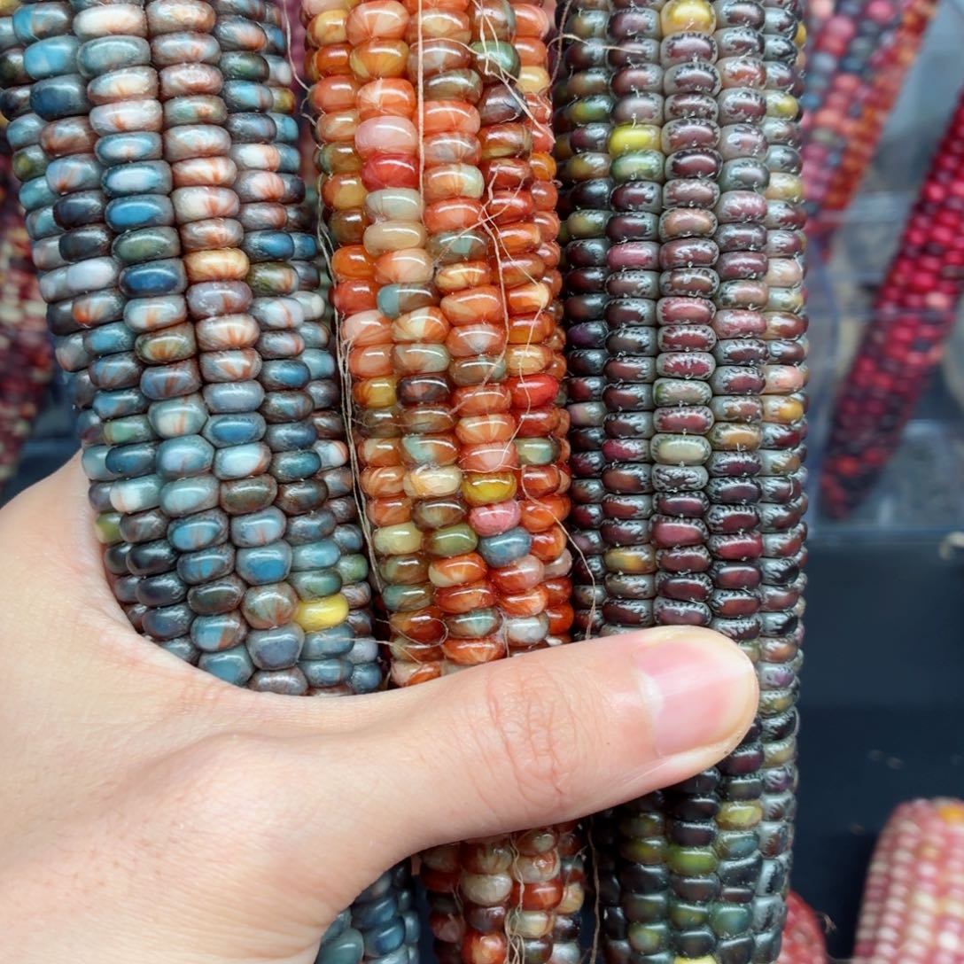 骁***驹吊坠白玉菩提文玩精品文玩精品