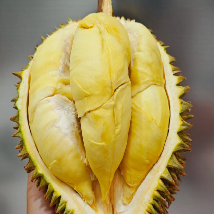 新鲜金枕榴莲29.8/斤，现开皮薄核小金枕泰国