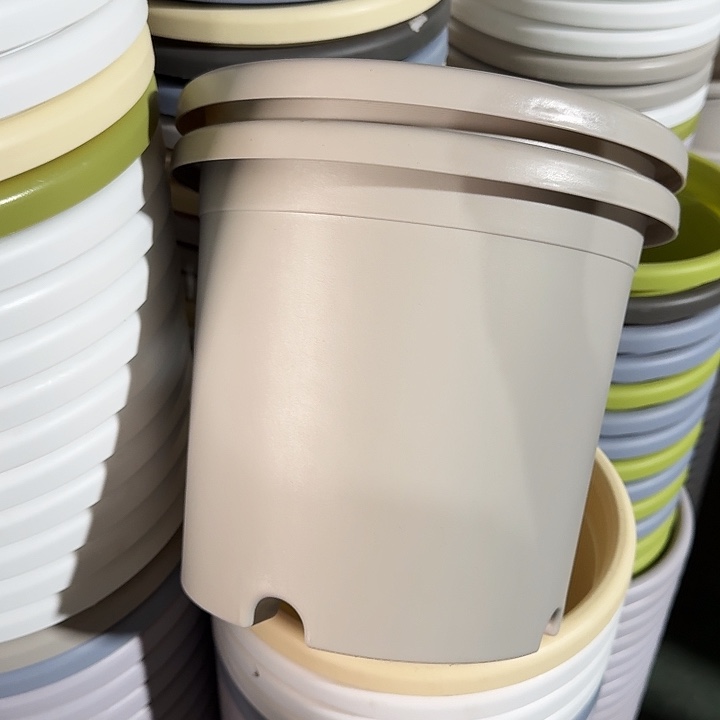 微瑕4#灰白8个无托