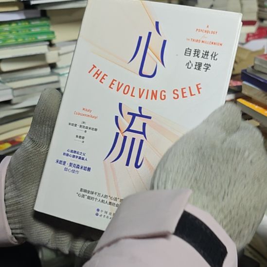 心流精装库存书（务必塑封）