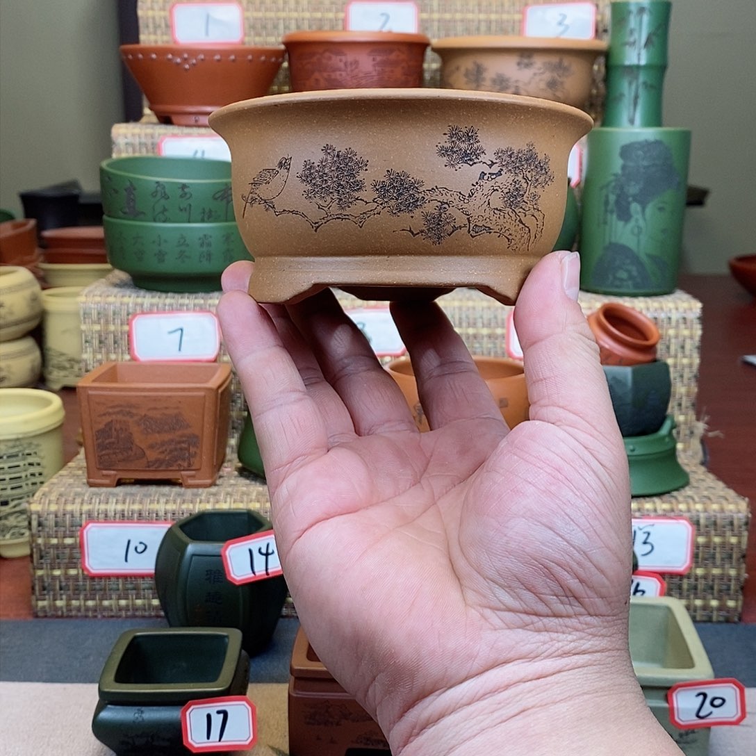 紫砂花盆我在等一