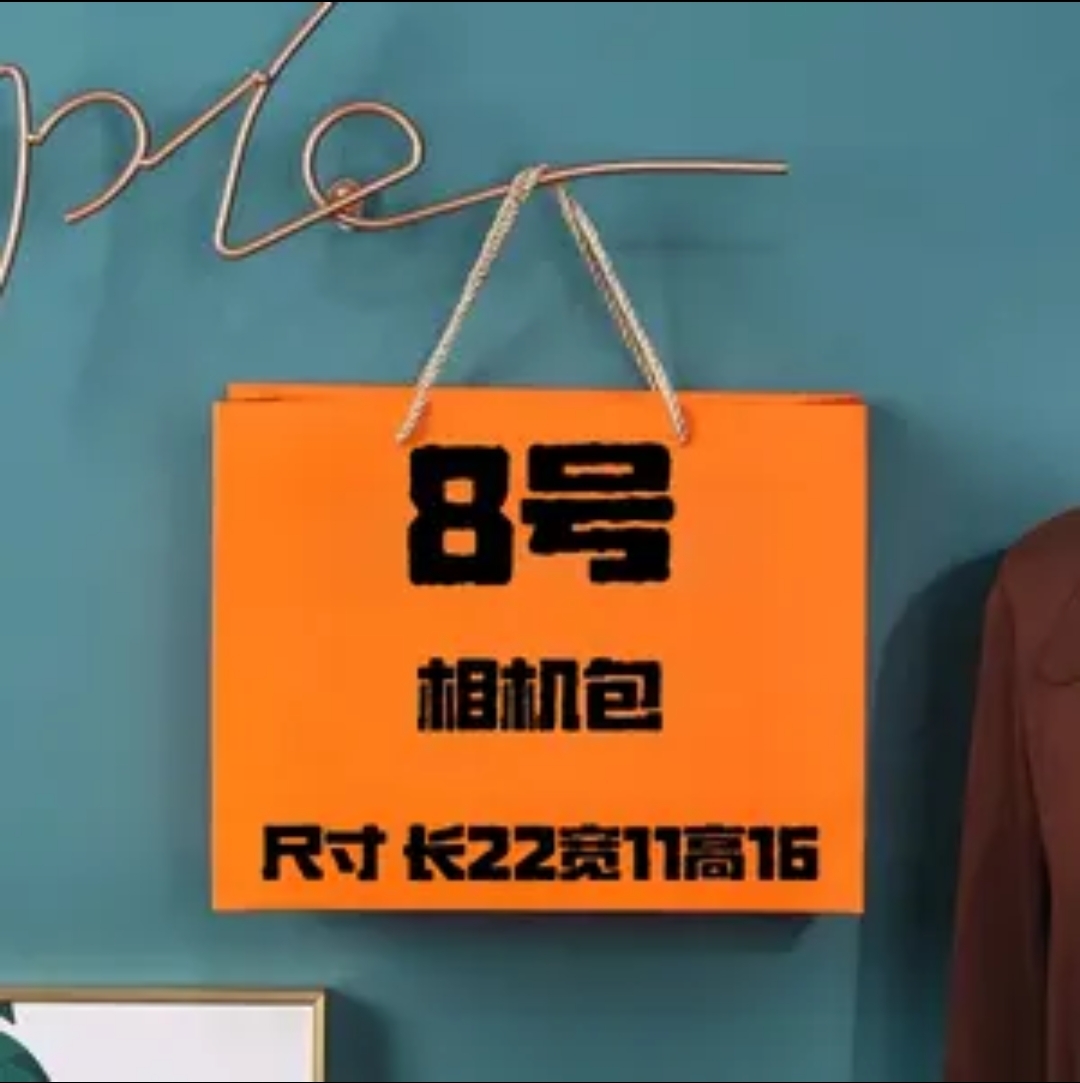 【8号】AA2025新款潮流轻奢百搭时尚相机包 A2771-17