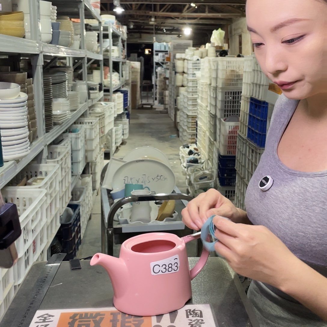 瓷片977                 1个