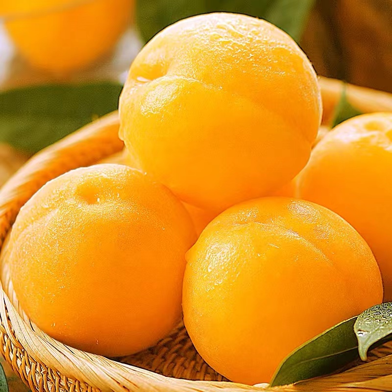 山东蒙阴黄毛桃新鲜当季水果脆甜多汁产地直发