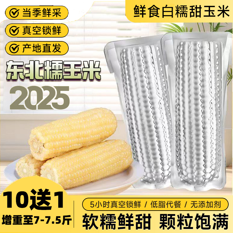 （试吃两根）当季鲜采铝箔白糯玉米11支 单只280-350g（整箱7-7.5斤）